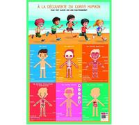 Poster pédagogique - Corps humain - 52 x 76 cm - Multicolore - Effaçable à sec - Enfant