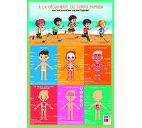 AC-Déco Poster pédagogique Corps Humain BOUCHUT 52 x 76 cm Multicolore effaçable à sec