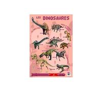 Poster pédagogique Dinosaures 52 x 76 cm