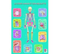Poster pédagogique en PVC - 76x52 cm - Le squelette