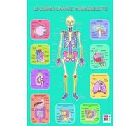 Poster pédagogique Squelette Humain BOUCHUT 52 x 76 cm G