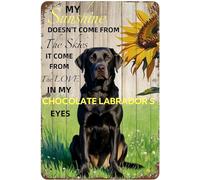 Poster Plaque Metal Labrador Chocolat Mon Soleil Vient De L'Amour M | Poster Plaque Metal Mieux Durable Affiches Métal Pour Chambre Bureau Café Plaque Signe