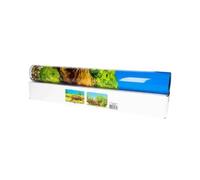 Poster racine/mousse Genesis Aquatics Bleu 60x15 cm