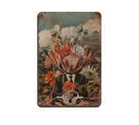 Poster rétro en métal avec inscription « Eclectic Surrealism » - Décoration murale - 20 x 30 cm