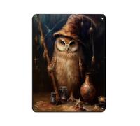 Poster rétro en métal Chouette sorcière Halloween - Décoration murale - 30 x 40 cm