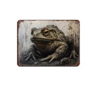 Poster rétro en métal représentant un crapaud féroce - Décoration murale - 30 x 40 cm