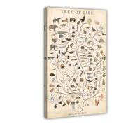 Poster rétro sur toile représentant l'arbre de vie et l'évolution biologique - Décoration murale pour salon, chambre à coucher - 30 x 45 cm