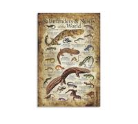Poster Salamandre et Newts of The World sur toile - Décoration murale moderne - 30 x 45 cm