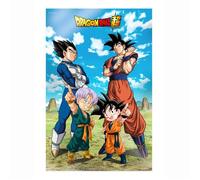 SD Toys – Affiche 3D Battle of Gods Goku Vegeta Family Dragon Ball Super – 38 x 58 cm