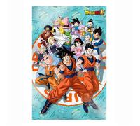 SD Toys – Affiche 3D Dragon Ball Super Universe Survival – 40 x 60 cm