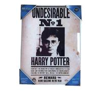 SD Toys - Affiche en verre Harry Potter Indésirable N°1 30 x 40 cm