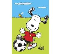 Poster Snoopy + un joli emballage cadeau G