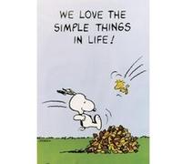 POSTER Snoopy + un joli emballage cadeau G