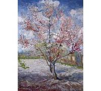 Poster Souvenir de Mauve Vincent Van Gogh 70 cm x 50 cm G