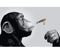 Poster Steez Monkey Joint Time Singe Qui Fume Un Joint (91,5cm x 61cm) + Un Poster Surprise en Cadeau!