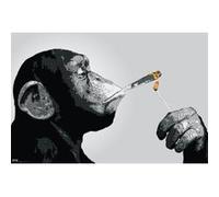 Poster Steez Monkey Joint Time + un joli emballage cadeau G