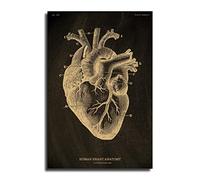 Poster sur toile avec anatomie de cœur humain anatomique, squelette, tableau noir, affiches vintage pour maison, chambre, médecine, étudiant, art médical, art mural, décoration murale, décoration de