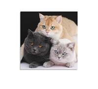 Poster sur toile avec trois jolis chatons - Décoration murale moderne pour chambre à coucher - 40 x 40 cm