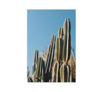 Poster sur toile de paysage de cactus de San Diego - Décoration pour chambre à coucher, bureau, chambre - Cadeau - 30 x 45 cm
