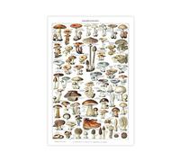 Poster sur toile « Encyclopédie » - Motif champignon - Décoration de chambre à coucher - Cadeau - 40 x 60 cm