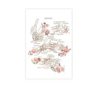 Poster sur toile représentant l'anatomie de la main pour décoration de chambre à coucher, bureau, chambre, cadeau 20 x 30 cm