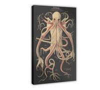 Poster sur toile représentant l'anatomie des mystères de Cthulhu - Décoration pour chambre à coucher, bureau, chambre, cadeau (50 x 75 cm)