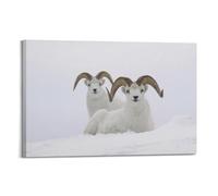Poster sur toile représentant les moutons de Dall's Sheep Arctic Wildlife Snow Mountain Wilderness Art peinture pour chambre à coucher 50 x 75 cm