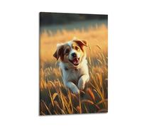 Poster sur toile représentant un chien de race mixte, coucher de soleil et prairie, œuvre d'art décorative sur toile pour chambre à coucher (20 x 30 cm)