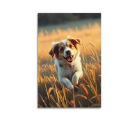Poster sur toile représentant un chien de race mixte, coucher de soleil et prairie, œuvre d'art décorative sur toile pour chambre à coucher 60 x 90 cm
