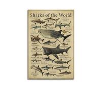 Poster sur toile Sharks of The World - Décoration pour chambre à coucher, bureau, chambre - Cadeau - 50 x 75 cm