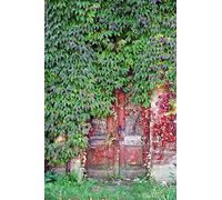 Poster tenture murale XL déco PORTE DEROBEE 150 x 240 cm | Décors muraux Qualité HD Scenolia