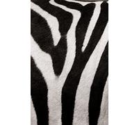 Poster toile textile lessivable déco OUT OF AFRICA 150 x 240 cm | Décors muraux Qualité HD Scenolia