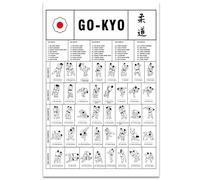 Poster traditionnel Gokyo du Kodokan - Techniques de judo - Cadeau de judoka - Décoration en métal - 15,2 x 20,3 cm