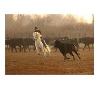 Poster traditions de Camargue, le tri des taureaux pour la course camarguaise.