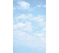 Poster vertical XL déco BLEU CIEL 150 x 240 cm | Trompe l'œil Déco murale Qualité HD Scenolia