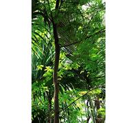 Poster vertical XL déco GUANIA 150 x 240 cm | Trompe l'œil Déco murale Qualité HD Scenolia