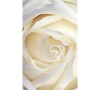 Poster vertical XL déco L'ELEGANTE 150 x 240 cm | Trompe l'œil Déco murale Qualité HD Scenolia