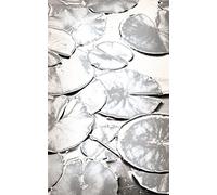 Poster vertical XL déco NENUPHAR ARGENTE 150 x 240 cm | Trompe l'œil Déco murale Qualité HD Scenolia