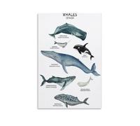 Poster vintage d'animaux marins baleines et requins pour enfants - Affiche éducative sur toile - Décoration murale pour salon, chambre à coucher - 30,5 x 45,7 cm