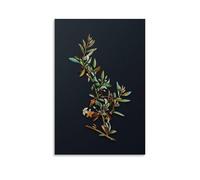 Poster vintage Goji Berry Branch Floral Art Peinture Bureau Maison Décoration murale Cadeaux 50 x 75 cm