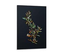 Poster vintage Goji Berry Branch Floral Art Peinture Bureau Maison Décoration murale Cadeaux 60 x 90 cm