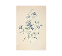 Poster vintage sur toile avec impression florale de campagne française - Décoration murale pour salon, chambre à coucher - 50 x 75 cm