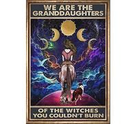 Poster « We Are The Witch's Granddaughter You Can't Burn », affiche de cowgirl, affiche hippie, affiche de sorcière hippie, affiche hippie, plaque en étain métallique vintage amusante. 20,3 x 30,5 cm