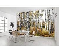 Poster XXL Impression Numérique, 450cm x 280cm, Aspenwoods Colorés