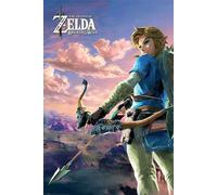 Poster Zelda Breath Of The Wild Hyrule Scene