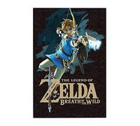 Pyramid International Affiche Zelda Breath of the Wild LINK Papier glacé 91 x 61 cm