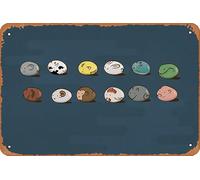 Poster Zodiac, pierre, mignon, panier de fruits, affiche du zodiaque chinois Anime décoration murale rétro plaque en métal 20,3 x 30,5 cm