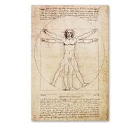 Postereck - 0125 - Dessin Léonard de Vinci, santé humaine - enseignement salle de classe école poster photo tableaux muraux - Poster - 4:3-40,0 cm x 30,0 cm