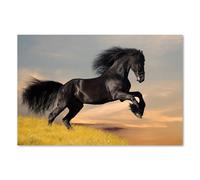 Postereck - 0213 - Cheval noir, étalon, animal, équitation. Art Mural Impression - Décoration animale, équestre, nature, Poster - Affiche - 3:2 91,0 cm x 61,0 cm