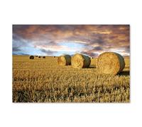 Postereck - 0546 - Champ de blé, coucher de soleil, paille, balle. Art Mural Impression - Décoration nature, campagne, Canvas - Affiche - 3:2 30,0 cm x 20,0 cm